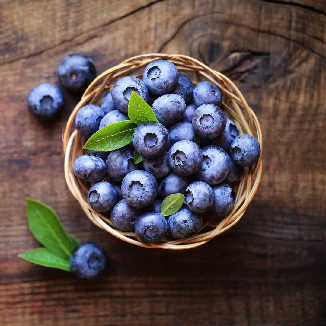 Bowl of blueberries 
