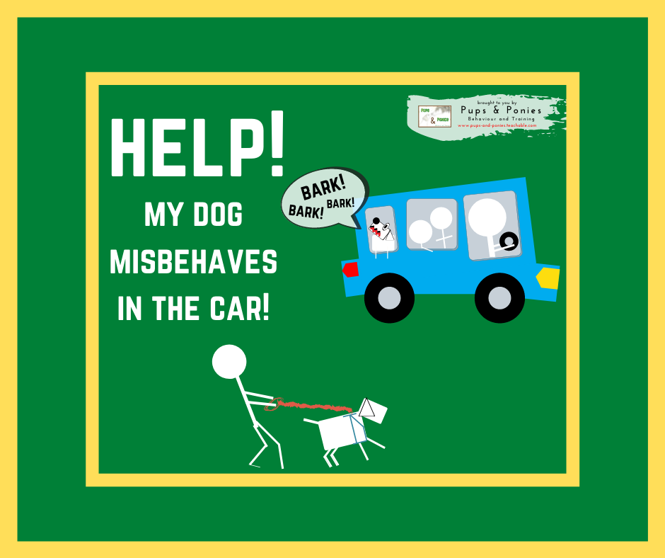 HELP! MY DOG MISBEHAVES IN THE CAR!