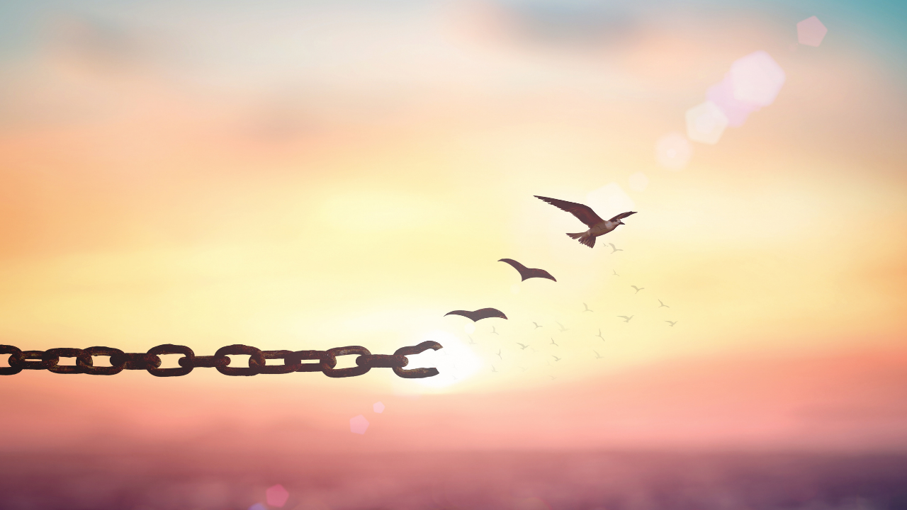 Photo of a chain that becomes birds flying away into freedom