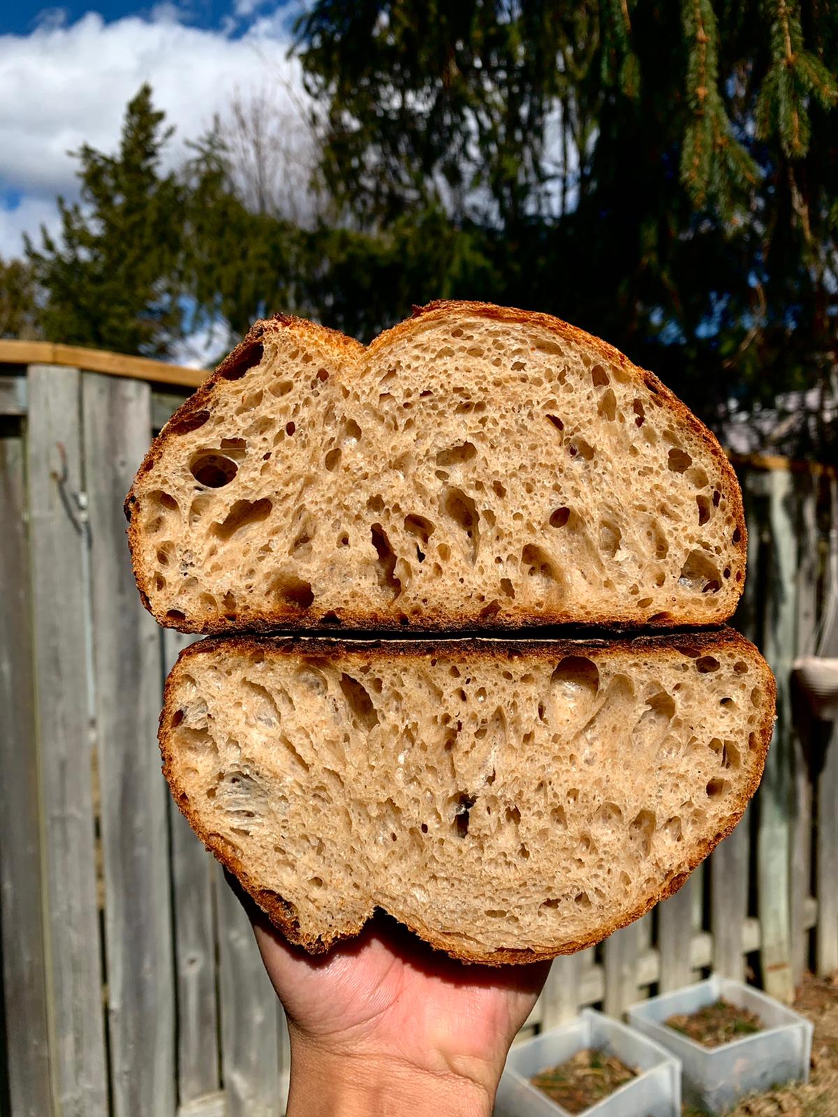 Sourdough testimonial 