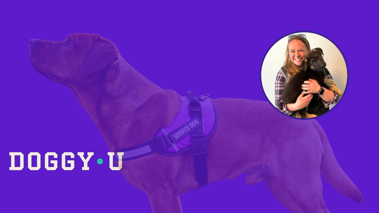 White DOGGY•U logo against a teal background with a red labrador in purple service dog vest. White on purple text reads service dog training, made simple. woman with blonde hair holds a puppy in the corner