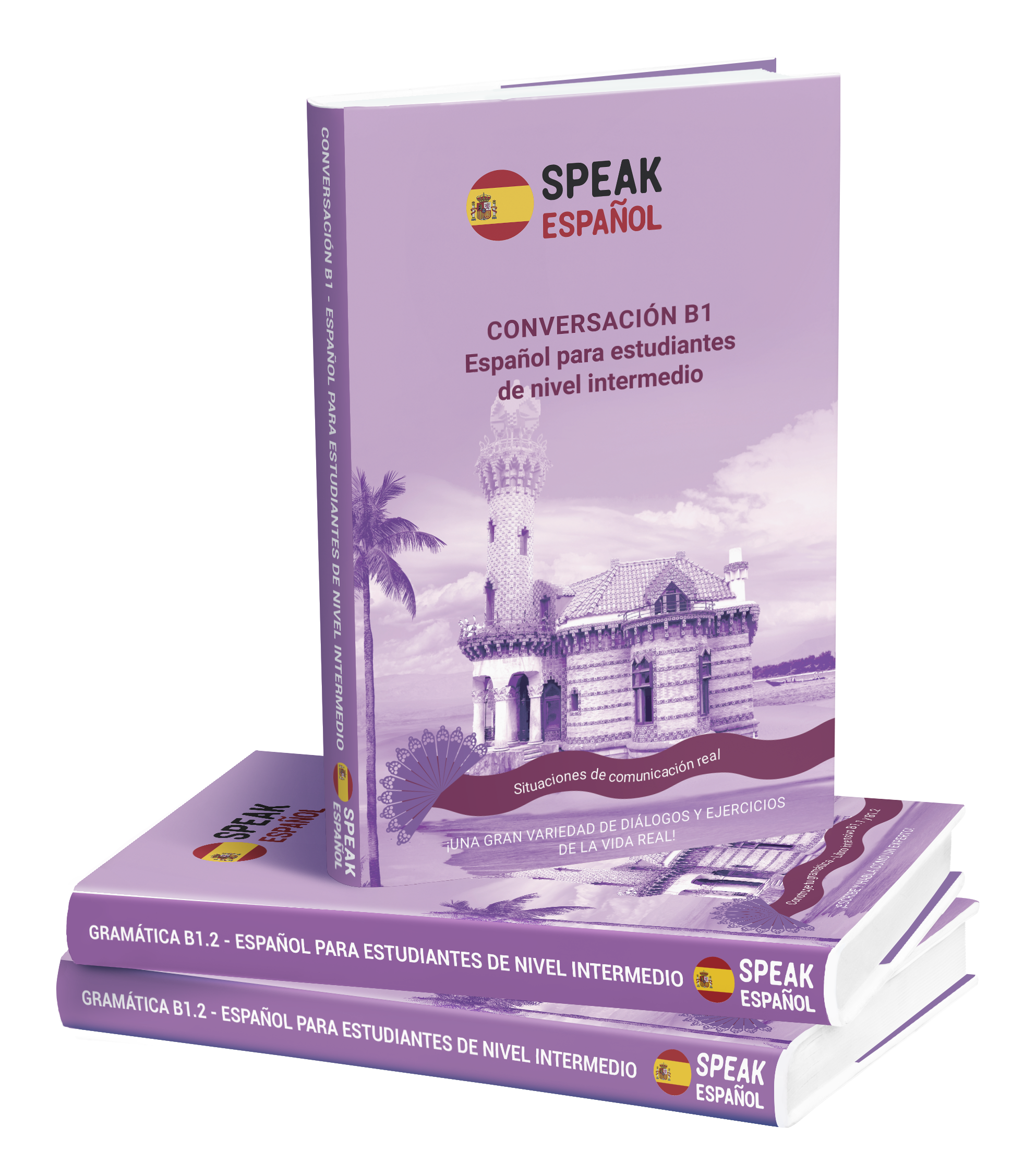 B1 level Spanish books and intensive course 