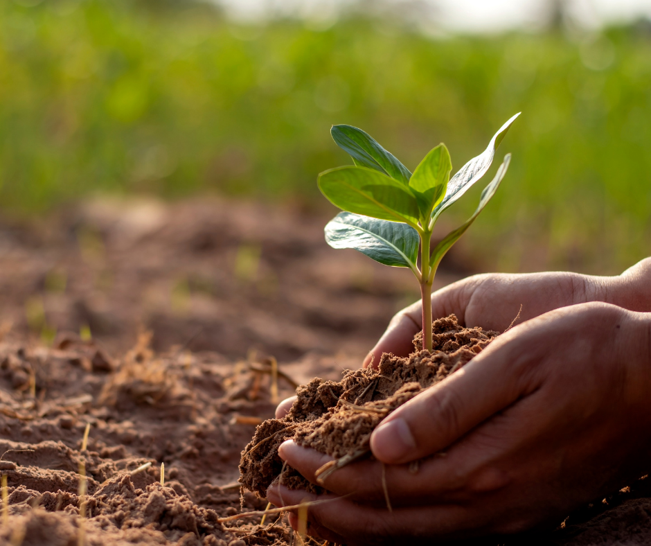 Beginner Gardening Course Create Healthy Soil