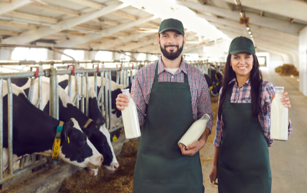 increasing milk in dairy farming using bypass fat