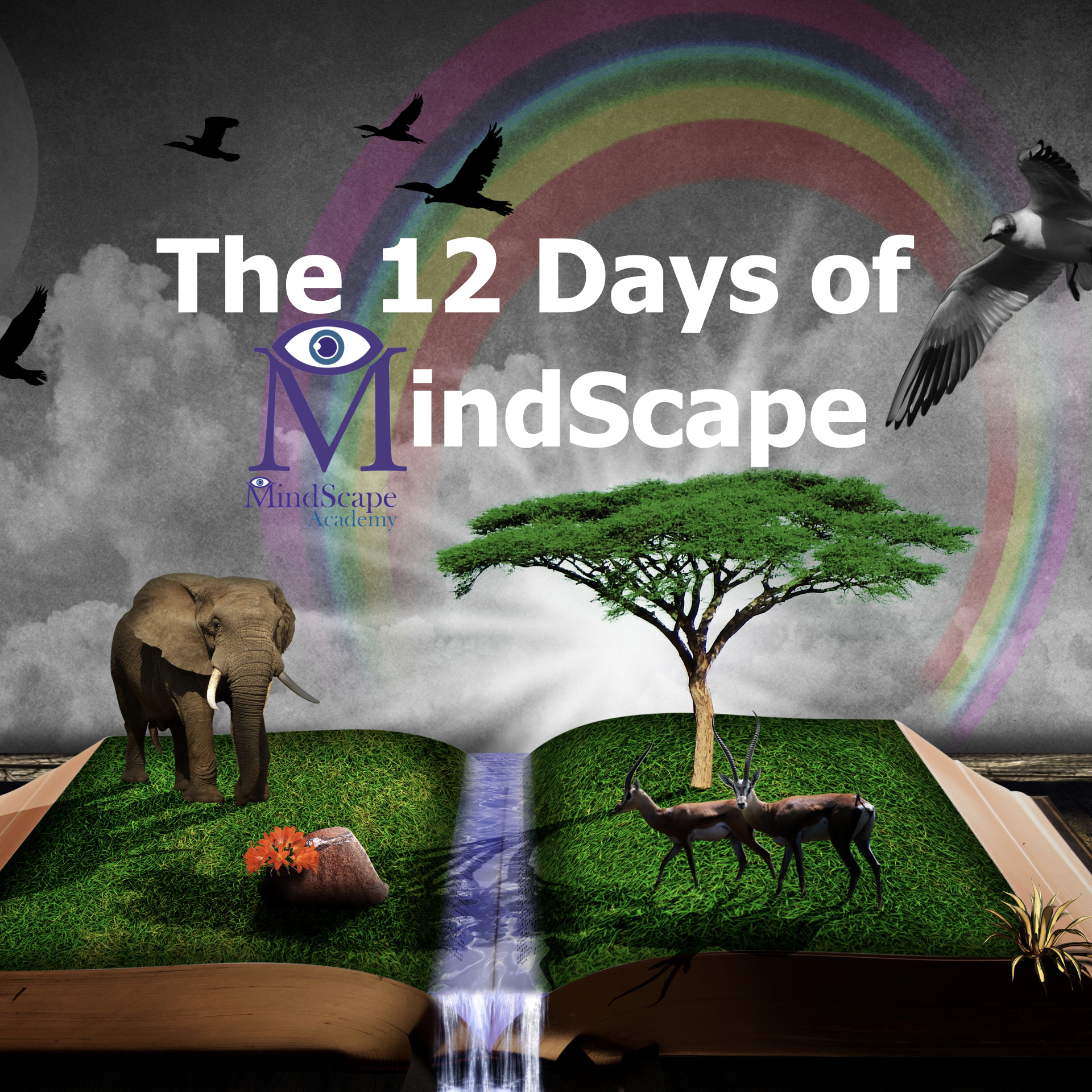 12 Days of MindScape online seminar