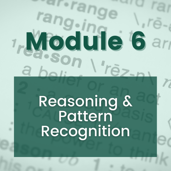 Section 6 - Reasoning & Pattern Recognition