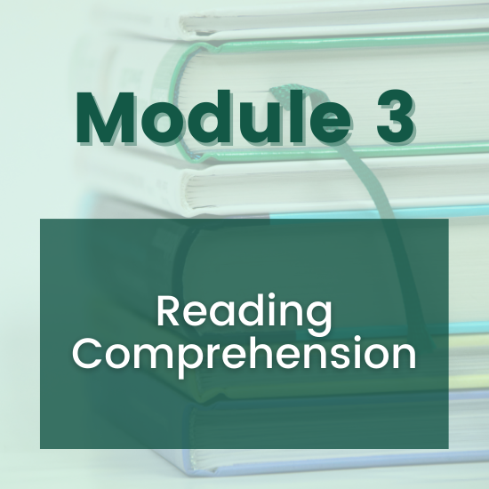 Section 3 - Reading Comprehension