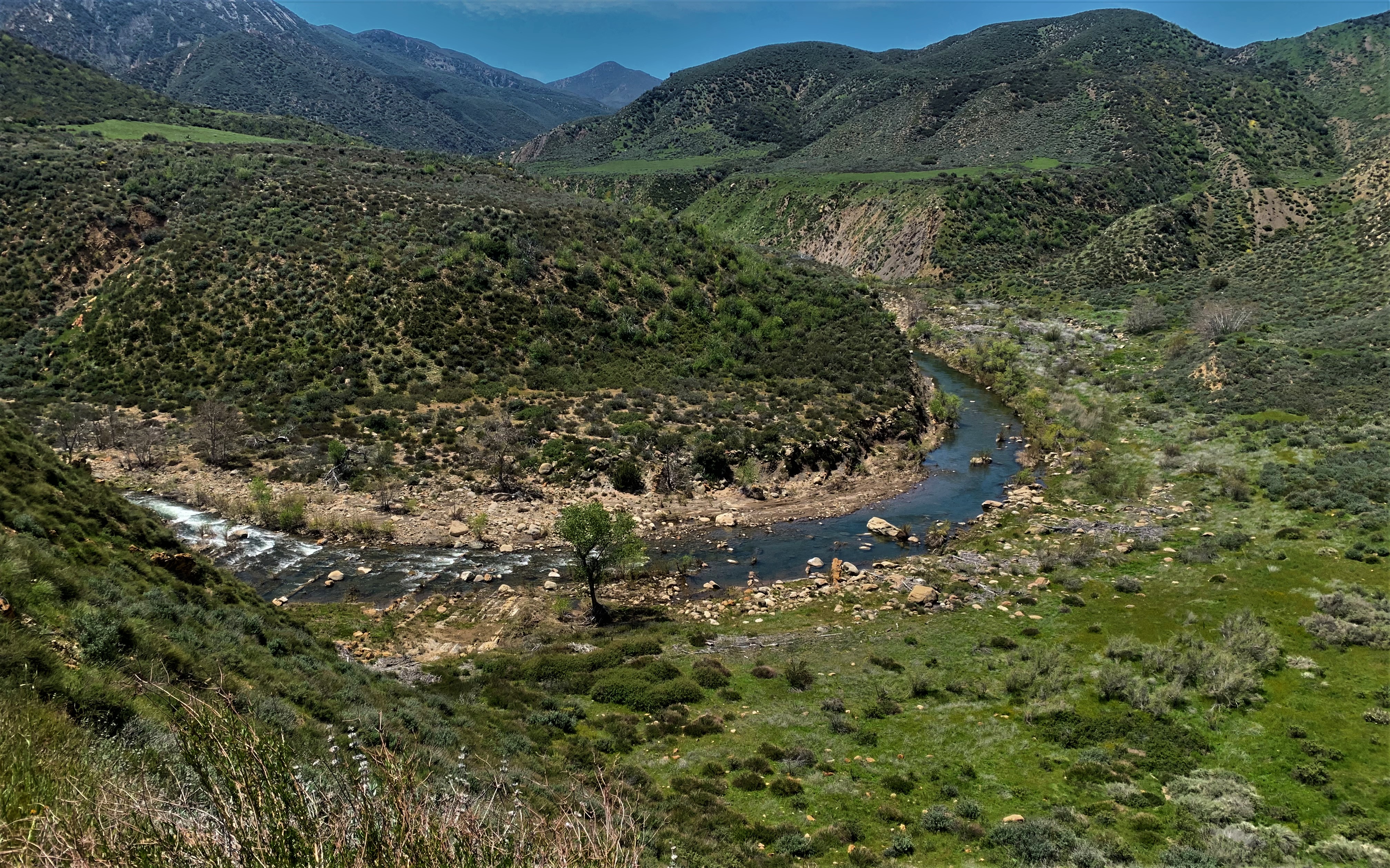 Hiking in California