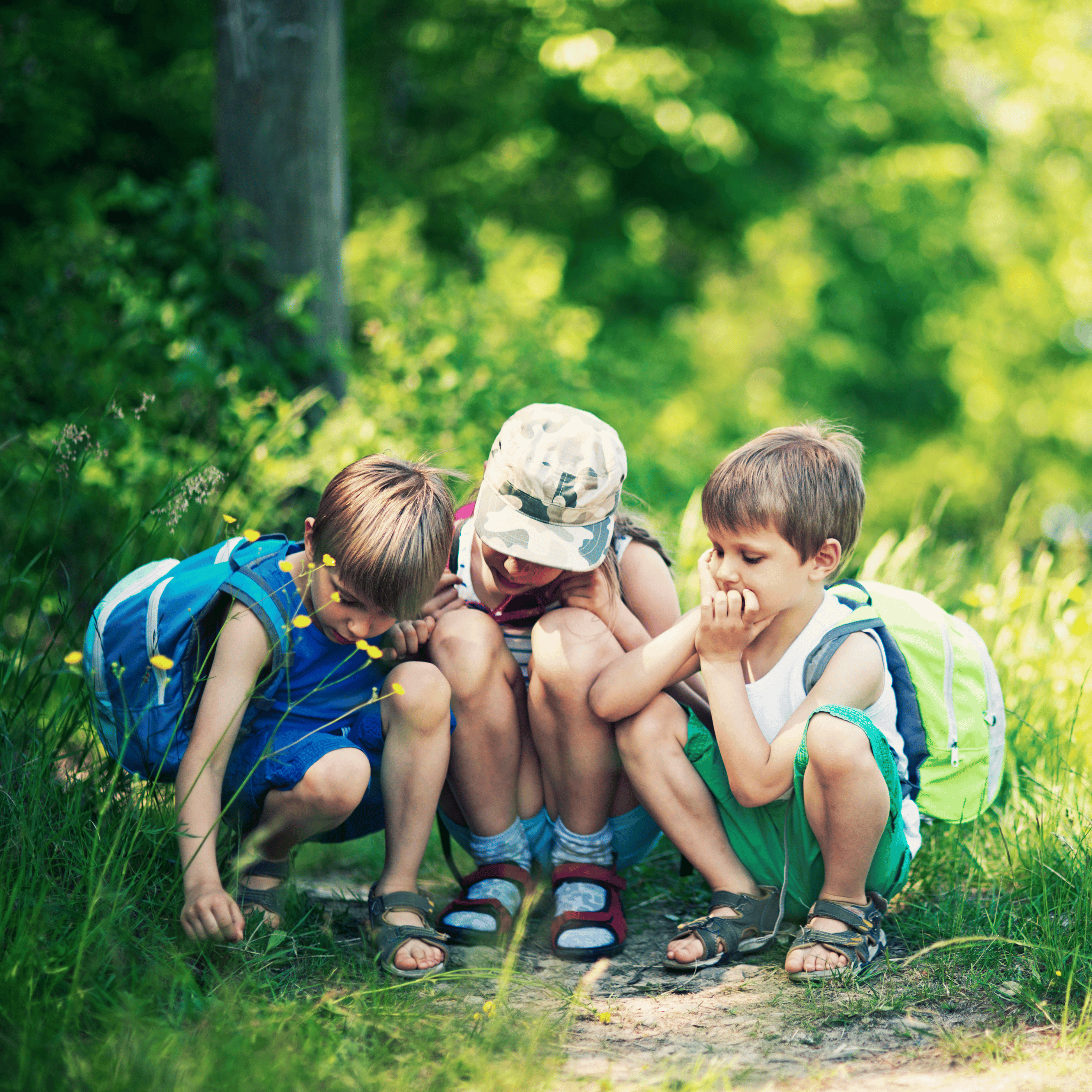 3 children exploring the outdoors