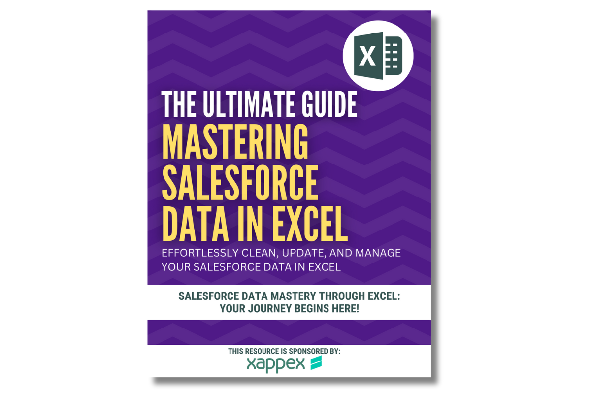 Efficient Salesforce data cleanup using Excel