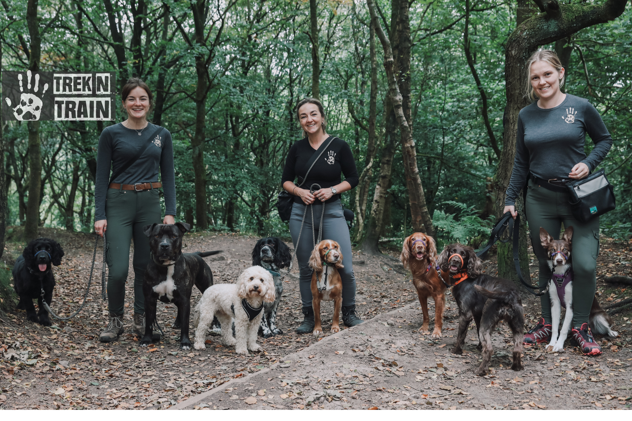 Three girls with eight dogs in the woods, everyone smiling and looking at the camera 