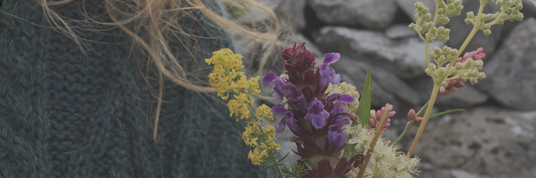 Hedgerow Herbal: Monthly Gatherings in the Irish Herbal Tradition