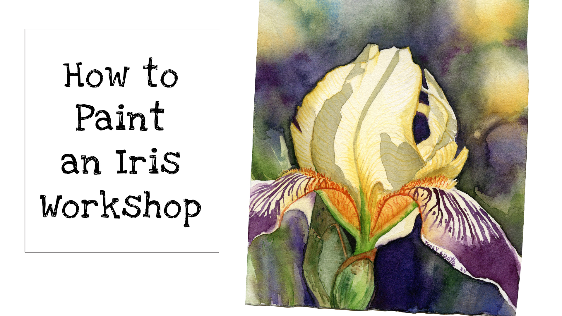 How to Paint am Iris with Watercolors 