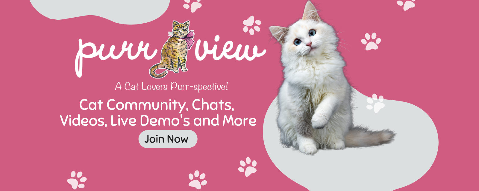 Learn About Our cat Community 