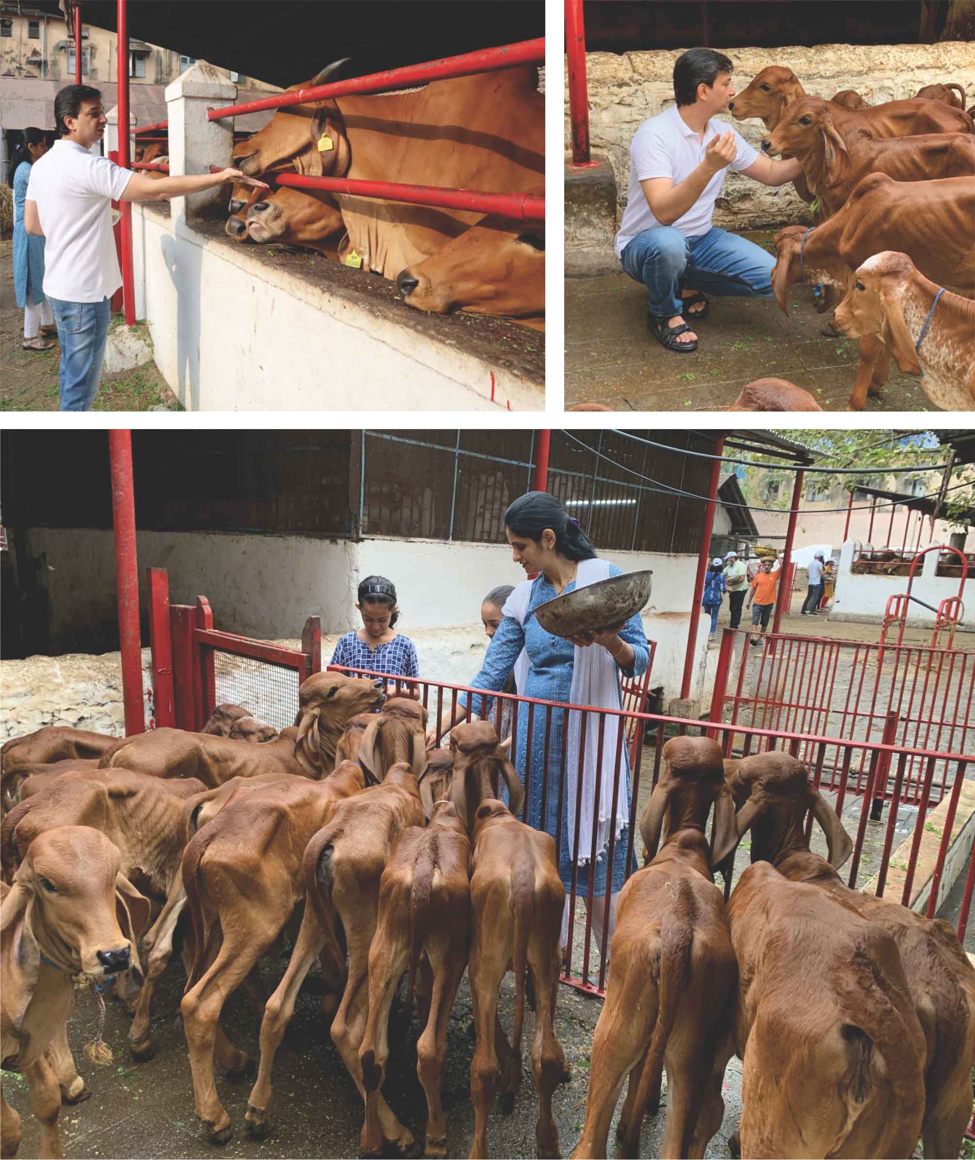 Serving Gaumata