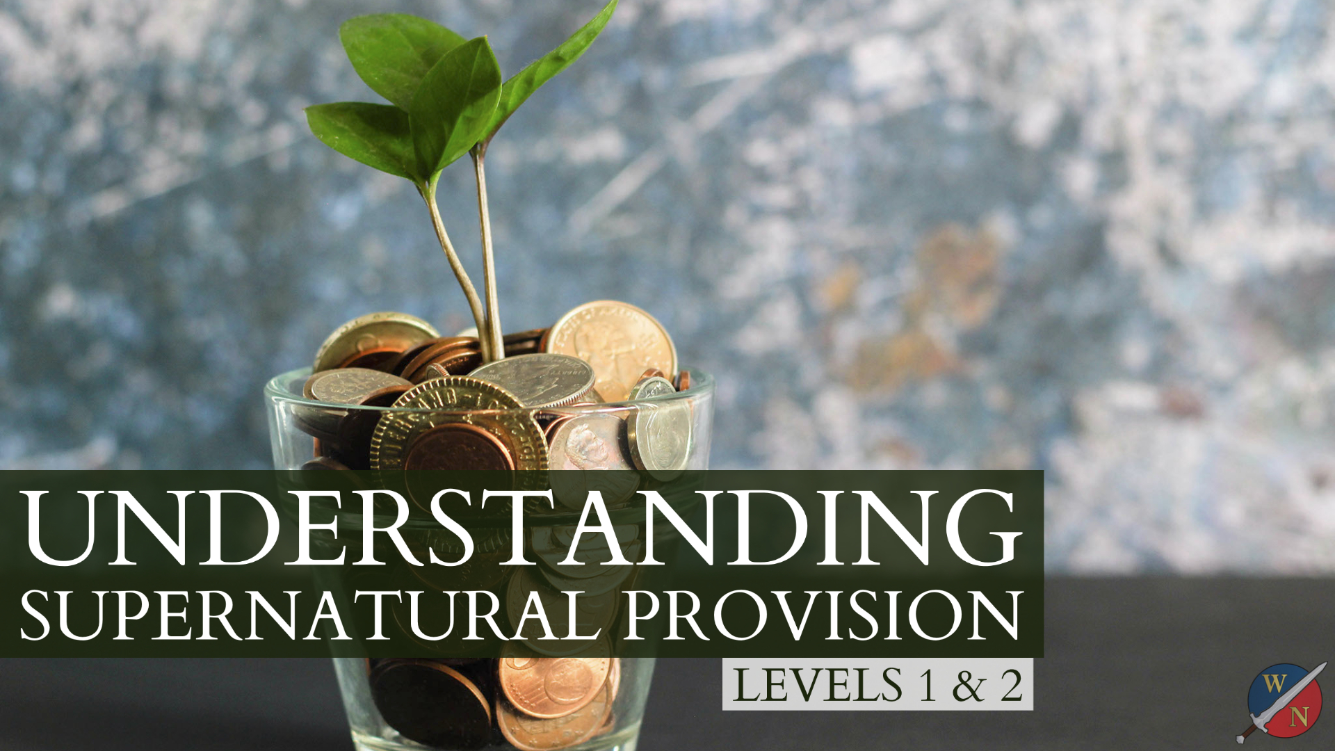 Understanding Supernatural Provision with Dr. Kevin Zadai - course bundle image