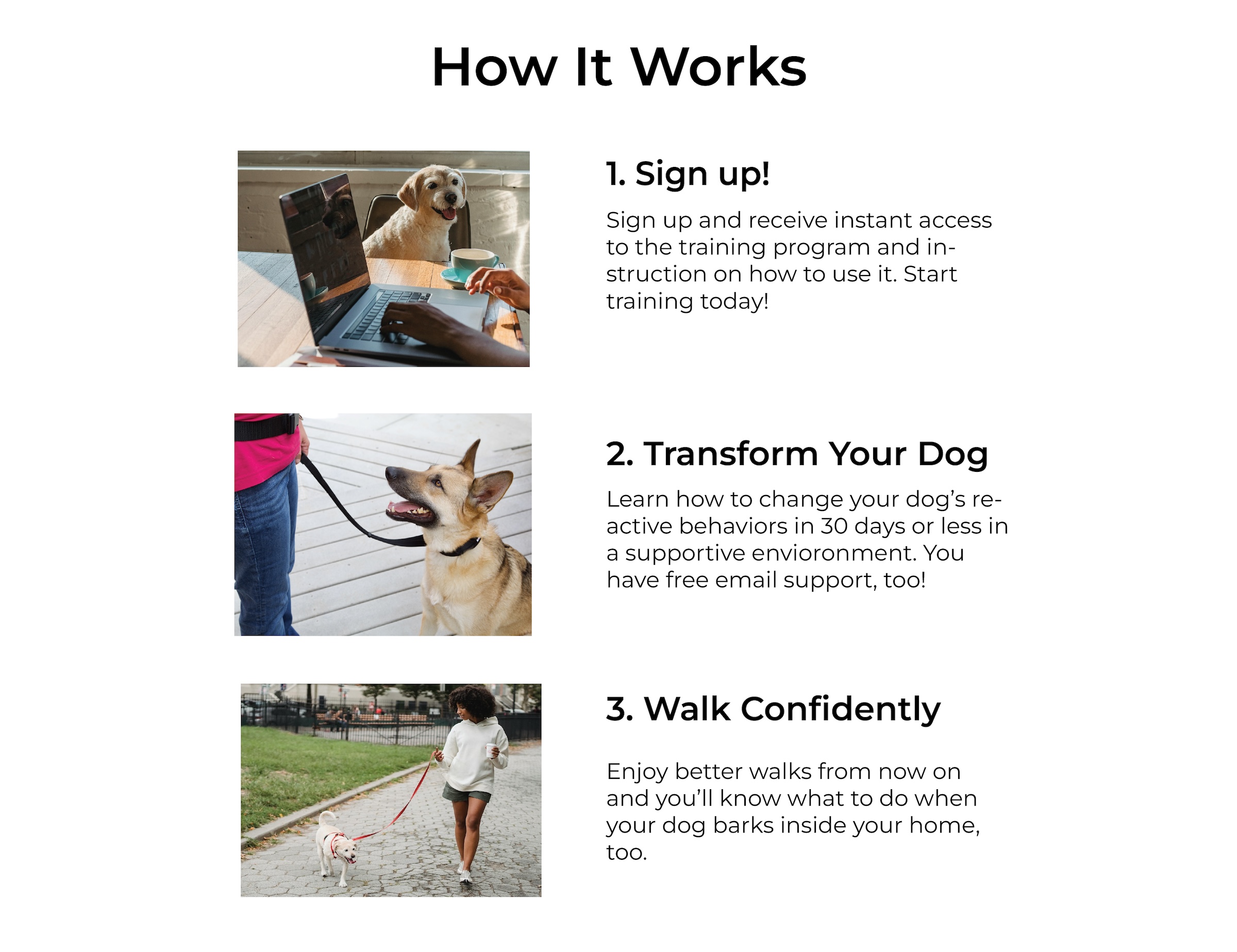 instructions for a reactive dog training program online from fearless pet 