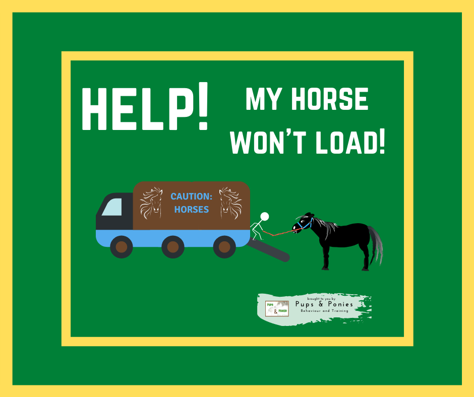 HELP! MY HORSE WON'T LOAD!