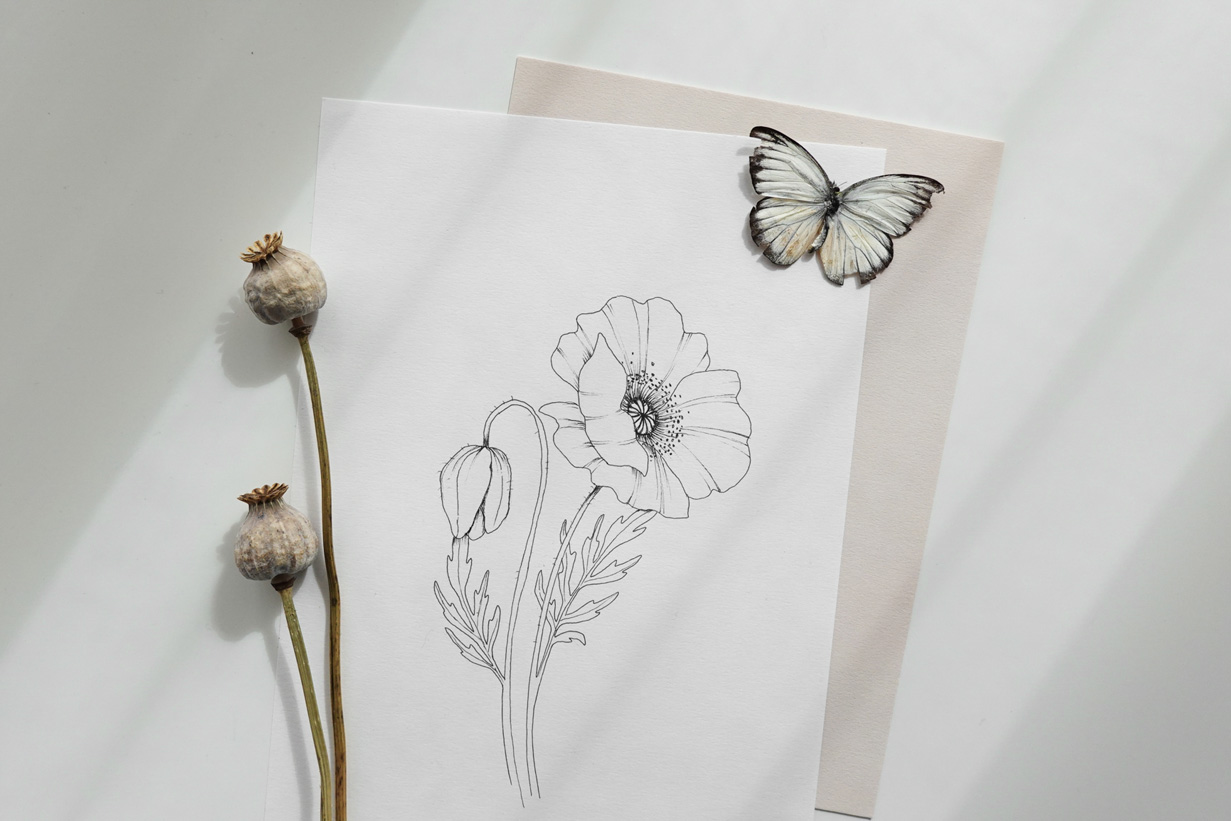 Drawing course floral art tutorials for beginners