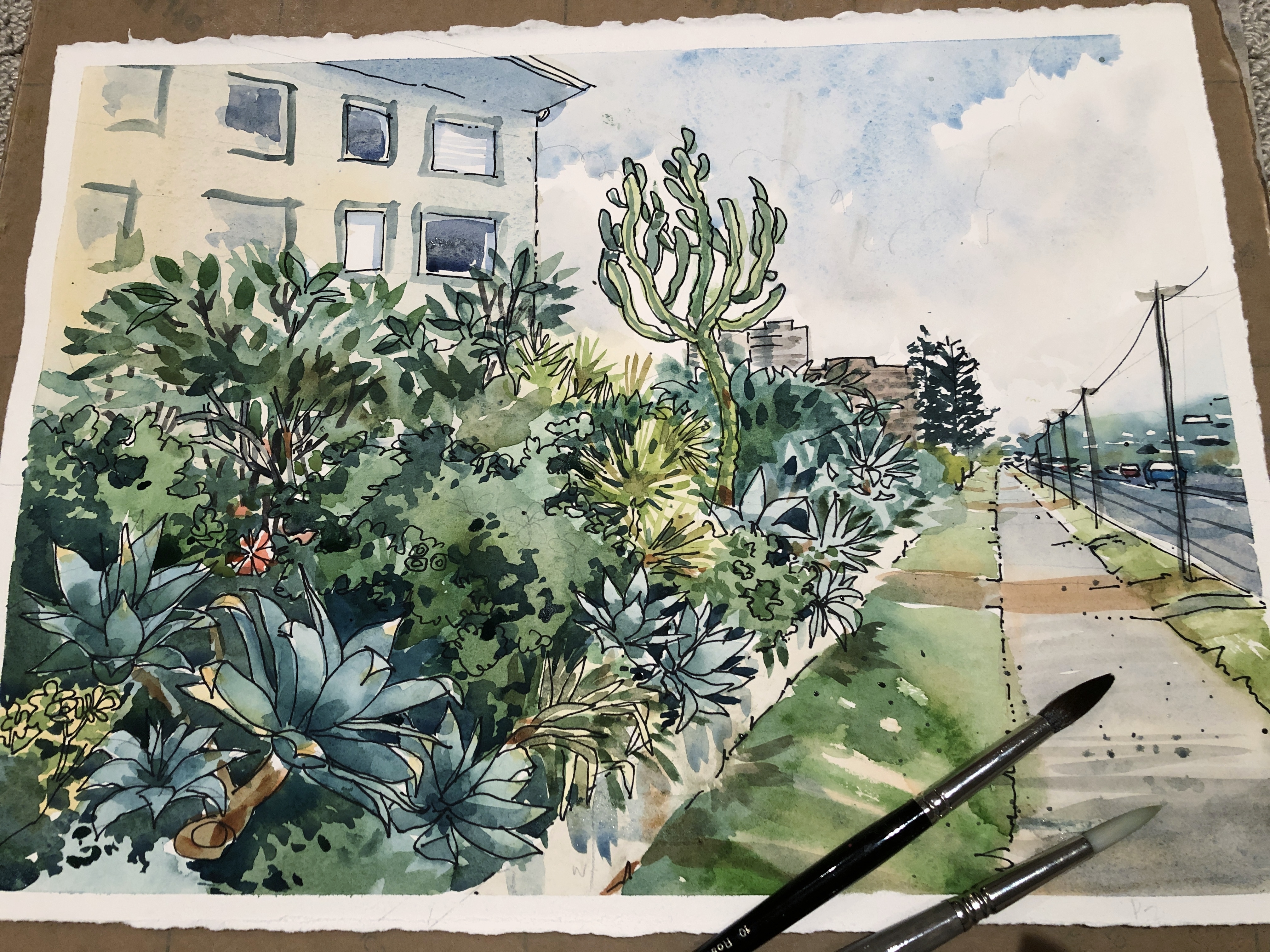 Collaroy Beach  Pen and Wash. Online Watercolor course and classes teaching absolute beginners how to paint in watercolour with Jenny Gilchrist and Northern Beaches Watercolour