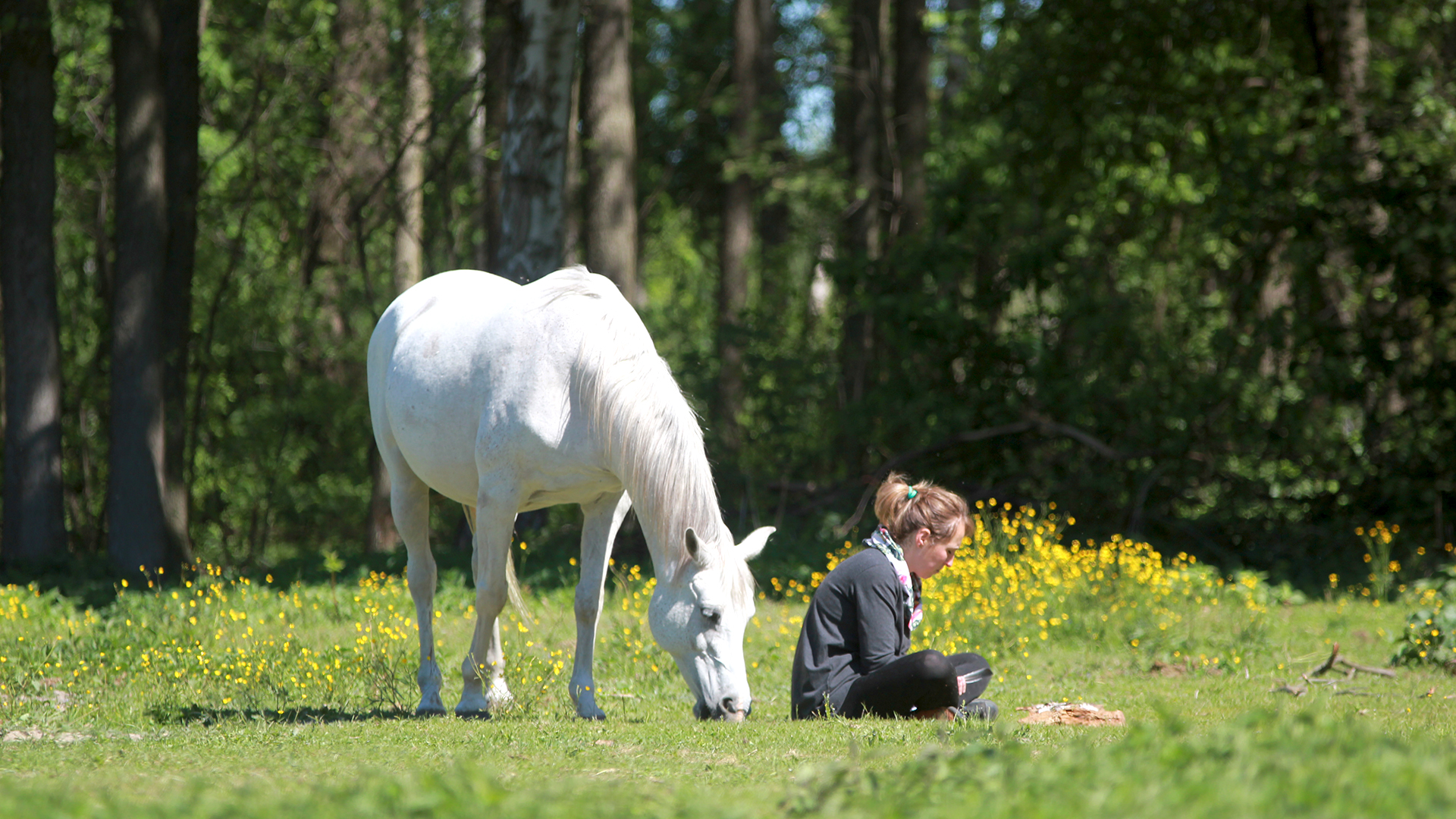 Woman sitting reflecting, doing art - with a horse supporting her