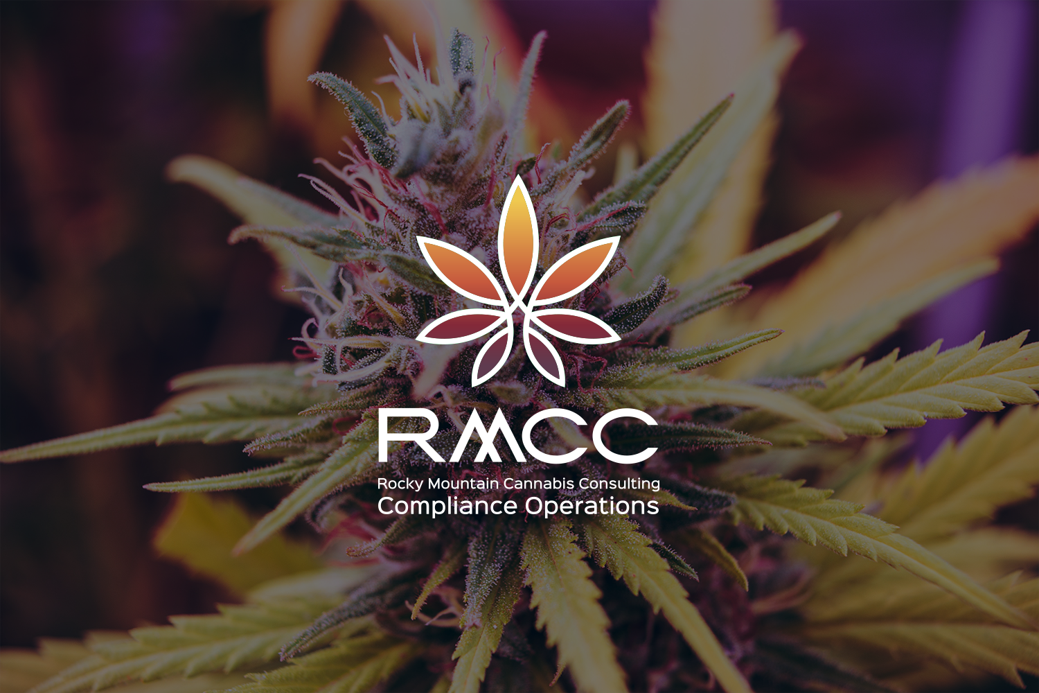 ADDITIONAL COMPLIMENTARY RMCC LEARNING RESOURCES