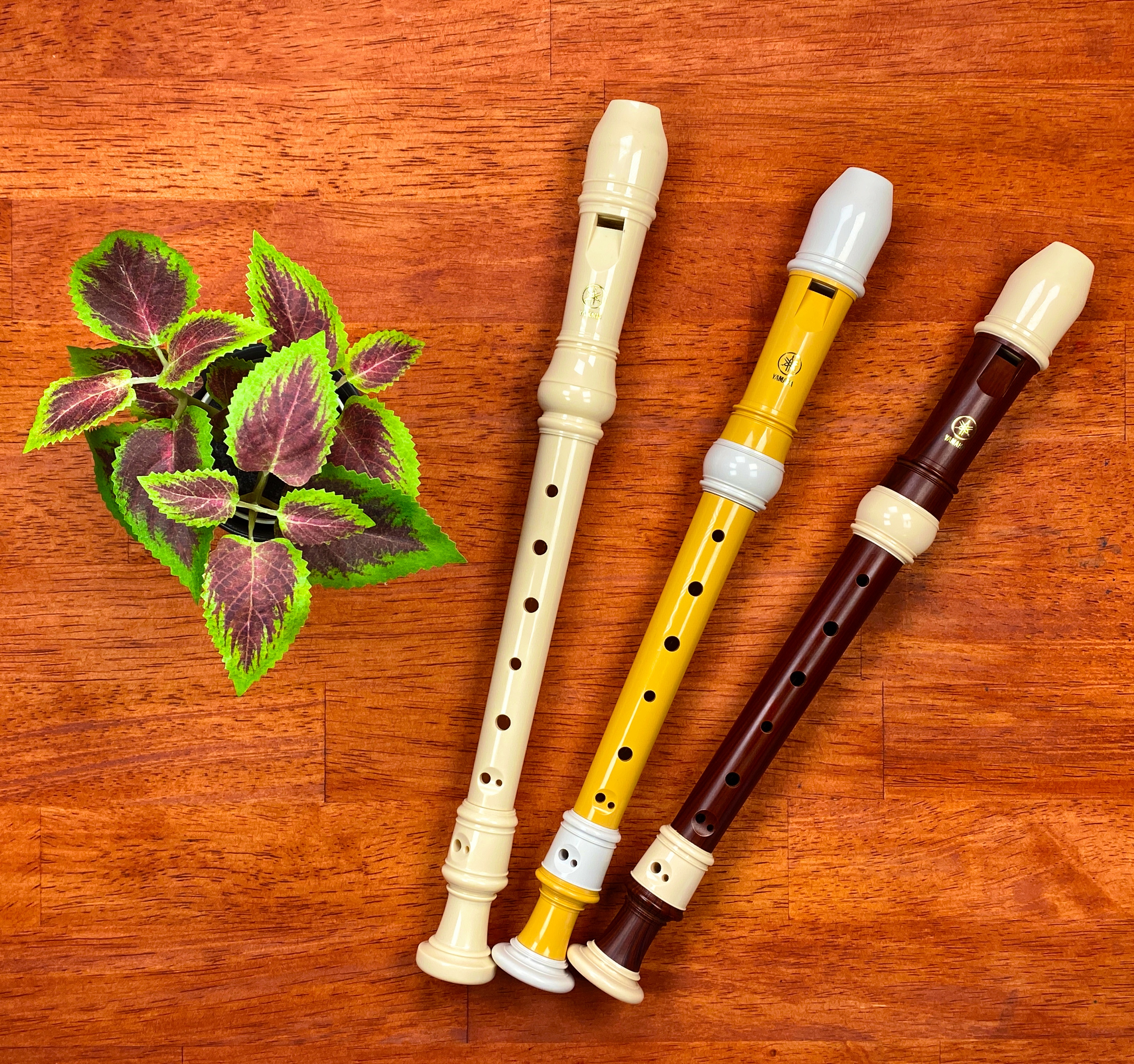 Waldorf Flute and Recorder Course. Lessons for Waldorf recorder.