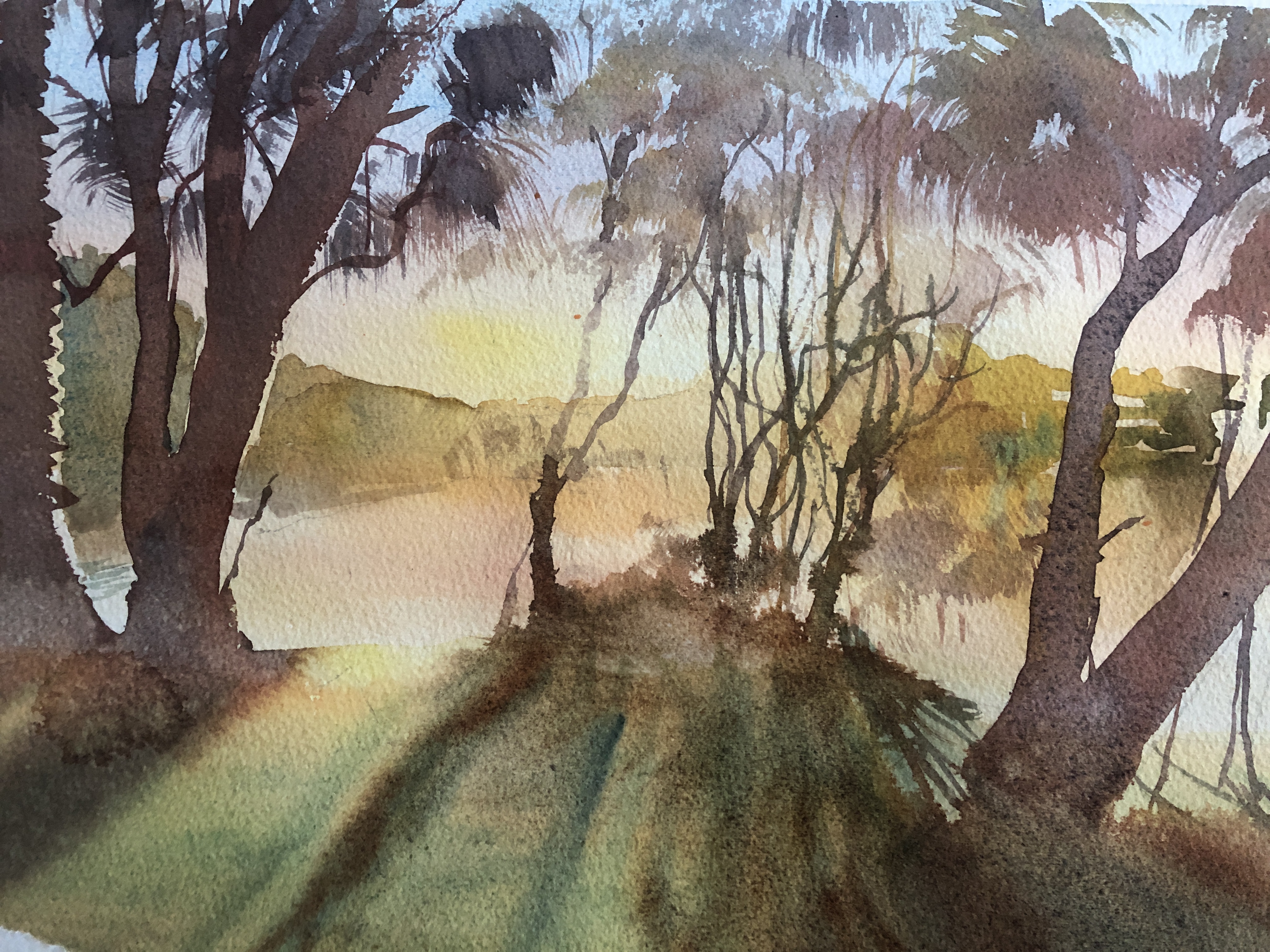 Online Watercolour course for Beginners with Jenny Gilchrist