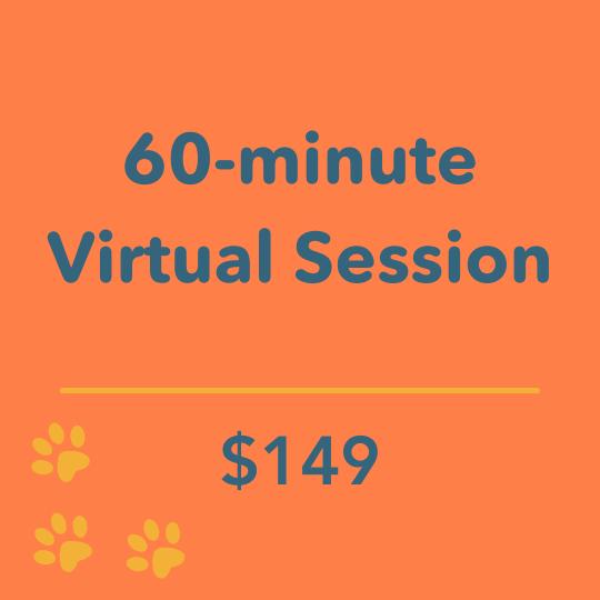 60-minute coaching session for $99