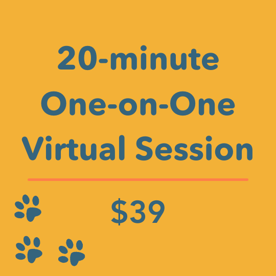 20-minute coaching session for $39