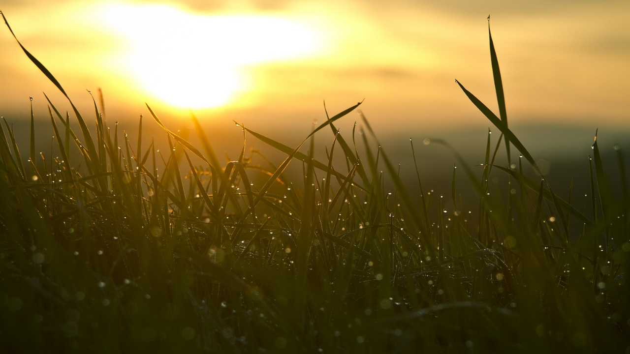 Creating Powerful Morning Routines | Change is Possible