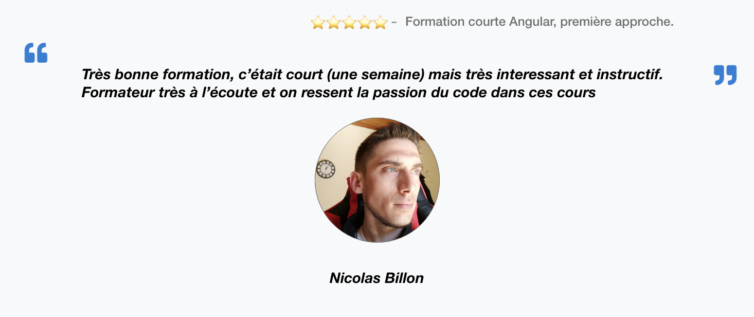 Nicolas Billon témoignage formation Angular
