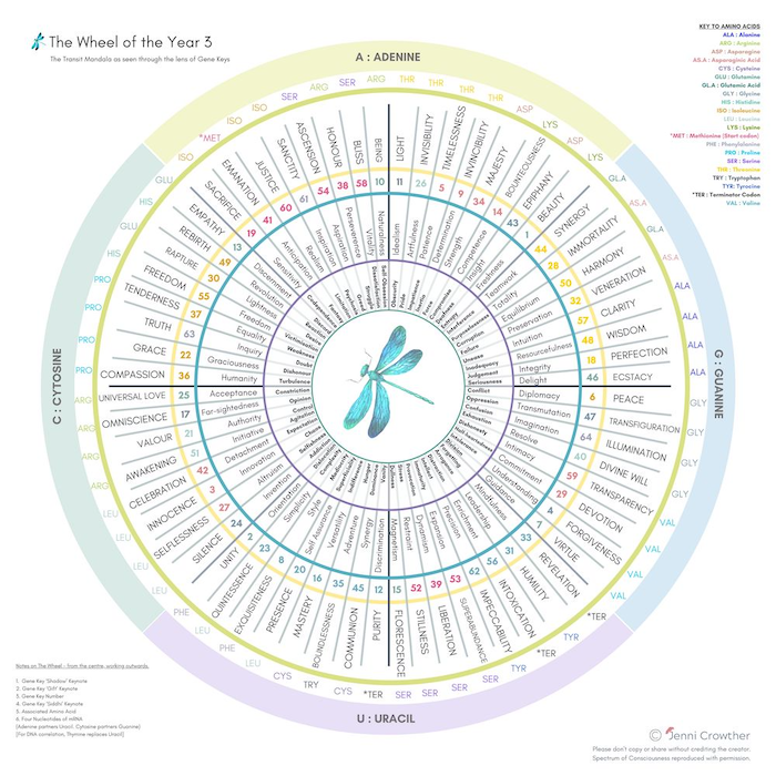 Gene keys mandala
