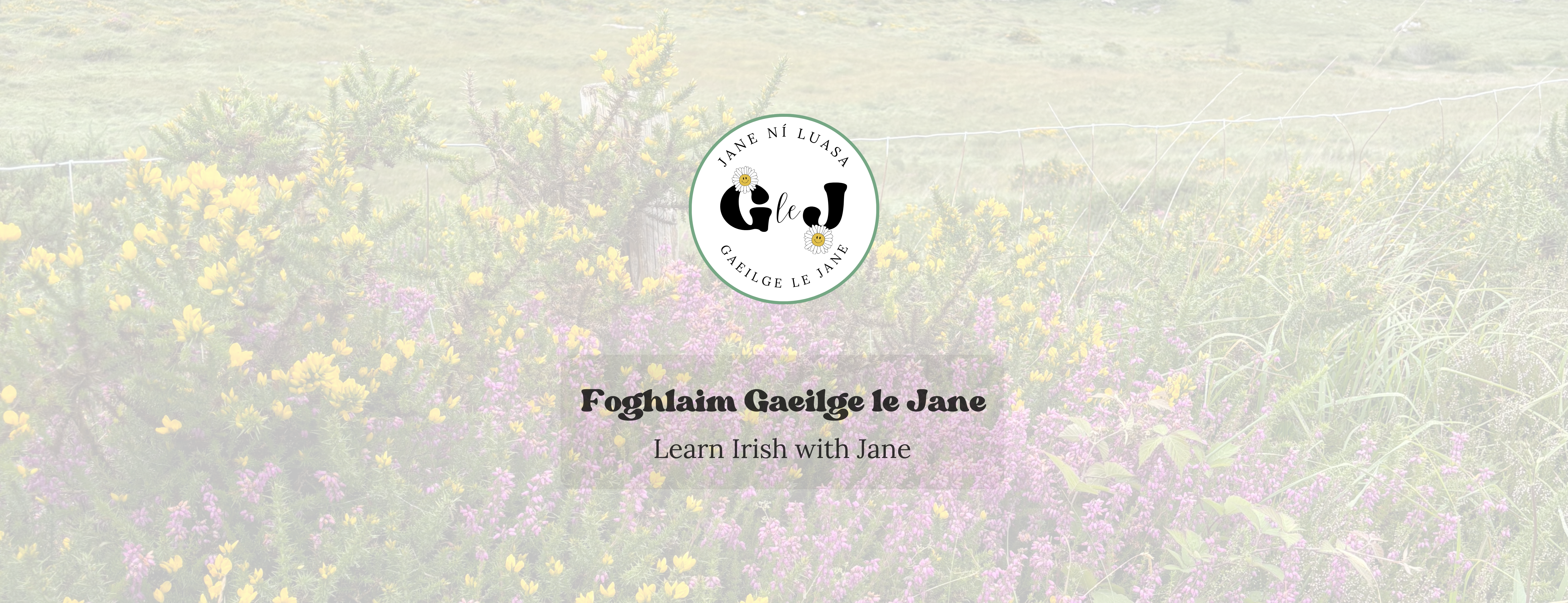 Gaeilge le Jane logo with Ireland