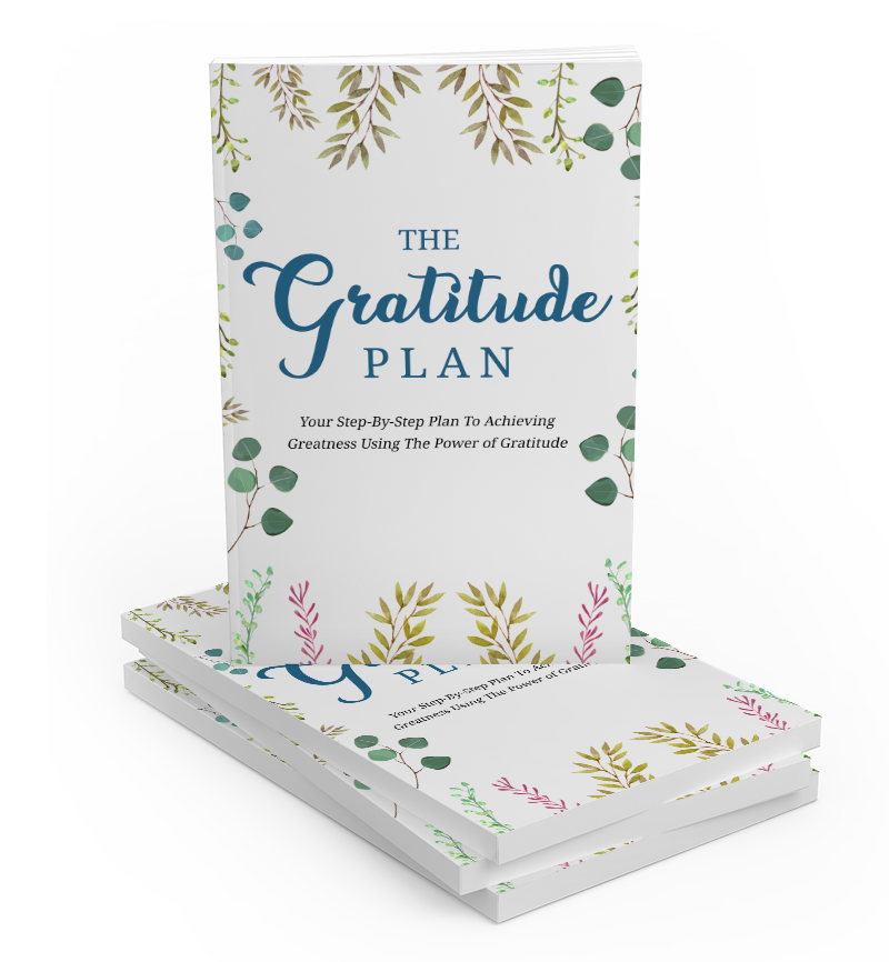 The Gratitude Plan eBook Cover