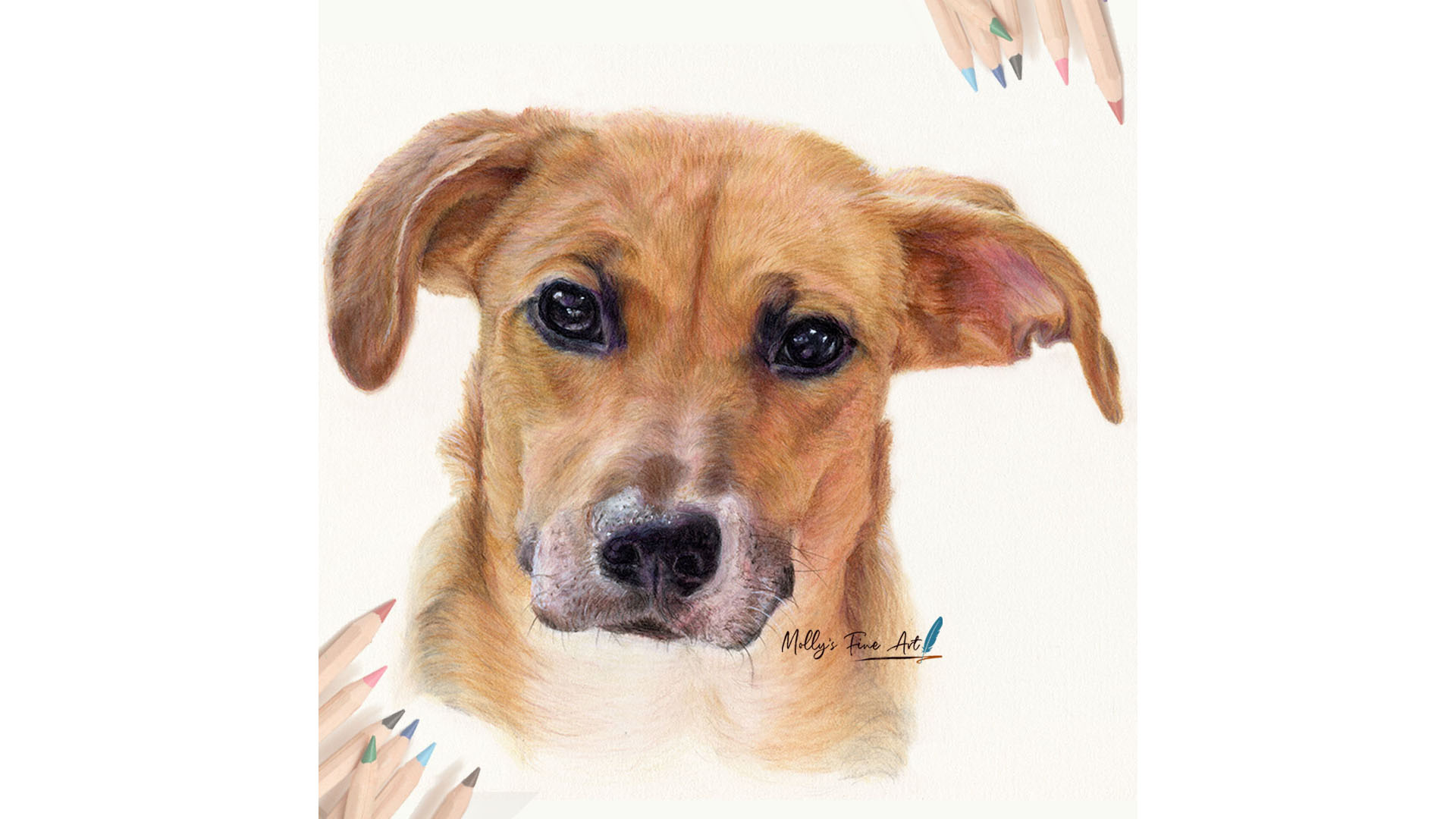 Creating Realistic Pet Portraits Onli﻿ne Course