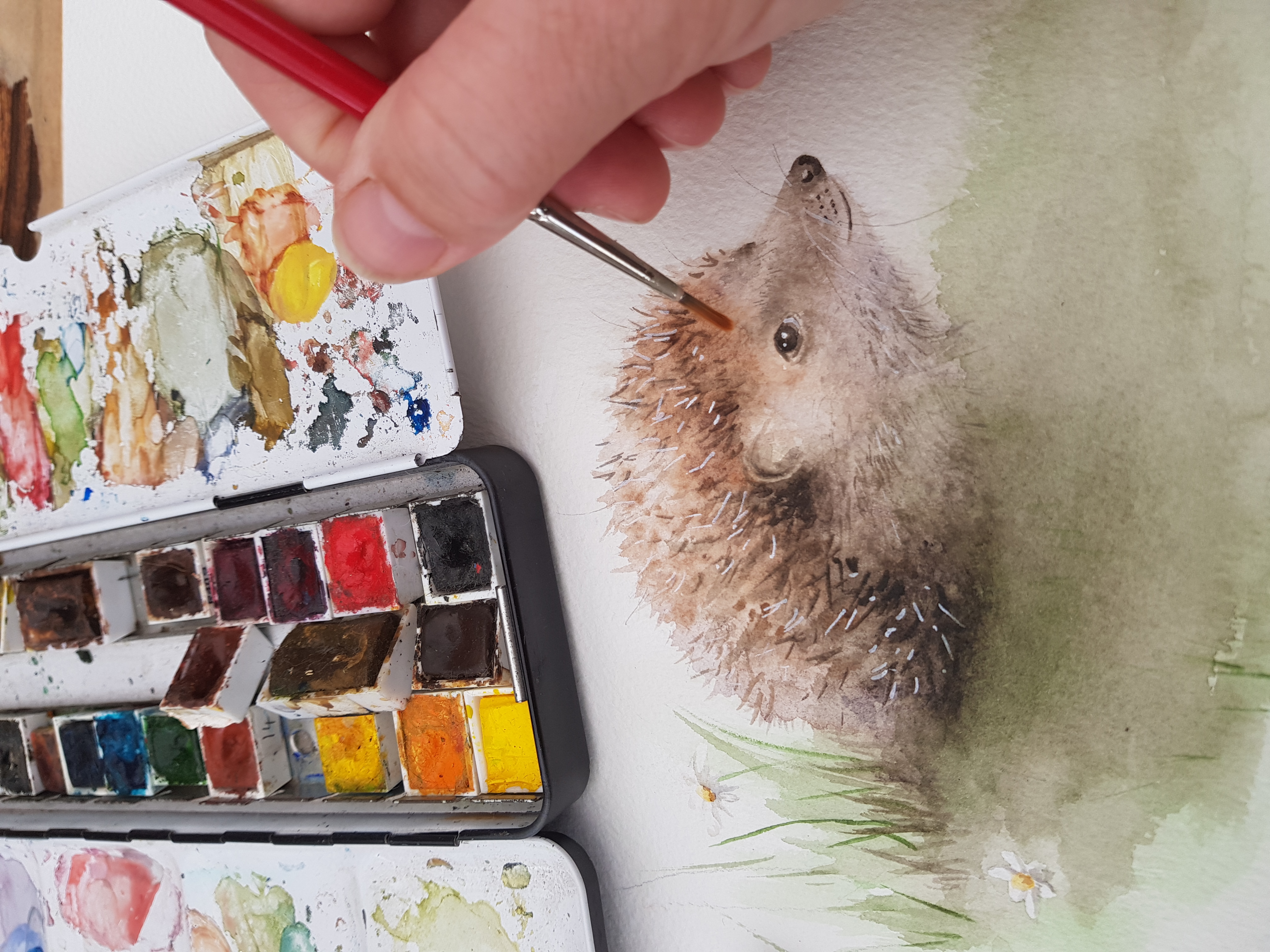 hedgehog painting
