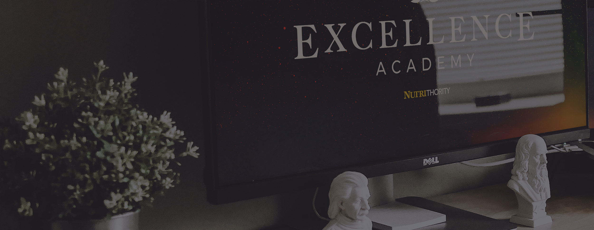 Excellence Academy