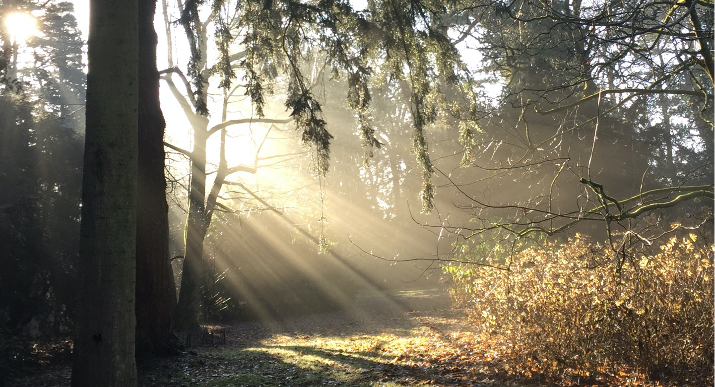 Mendip Reiki Healing Arts School