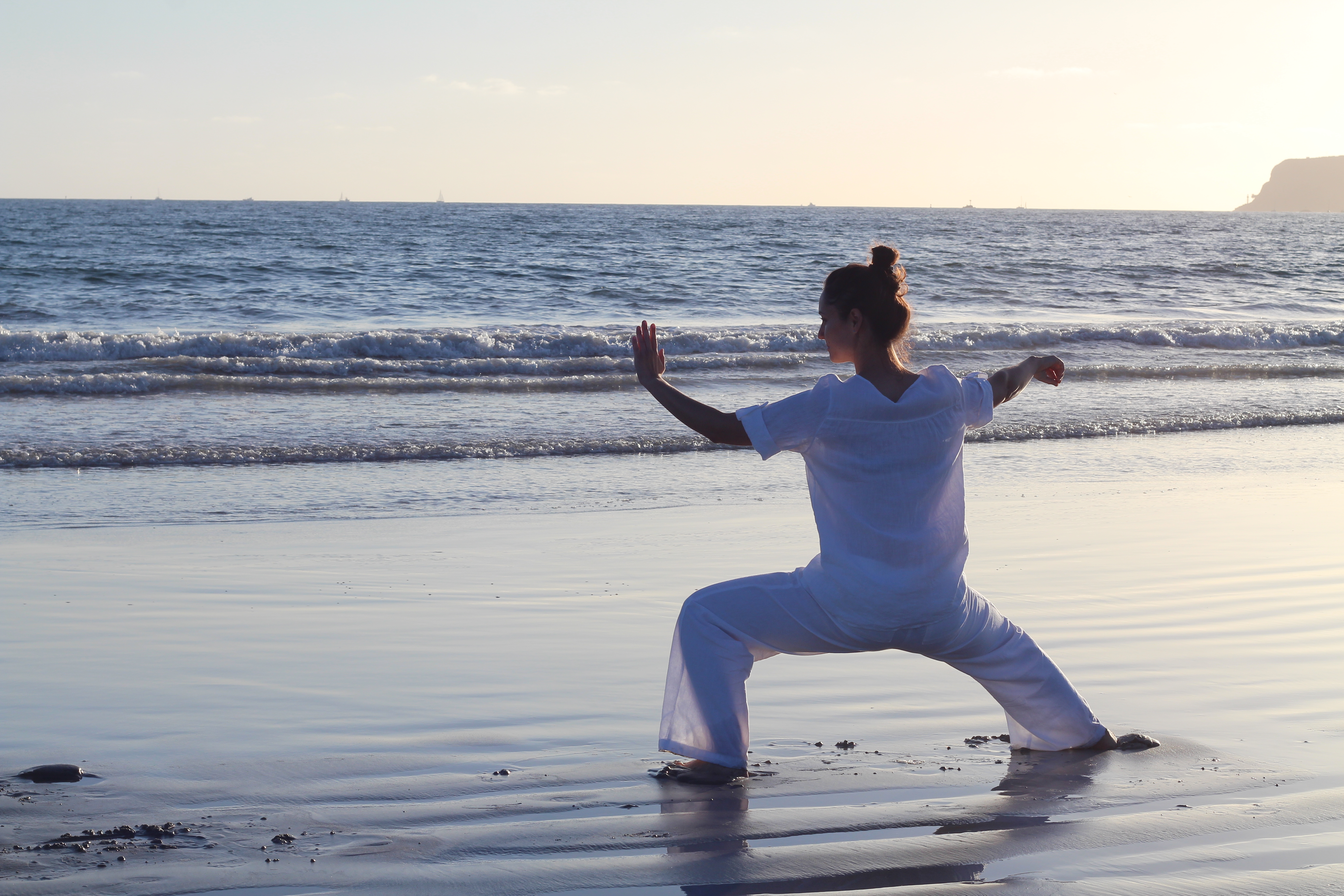 Traditional Chen Taijiquan