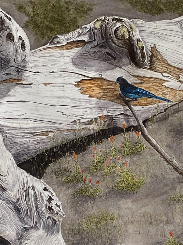 Watercolor painting of a bird on a log, testimonial from student, Katharina Robinson of RL Caldwell Studio