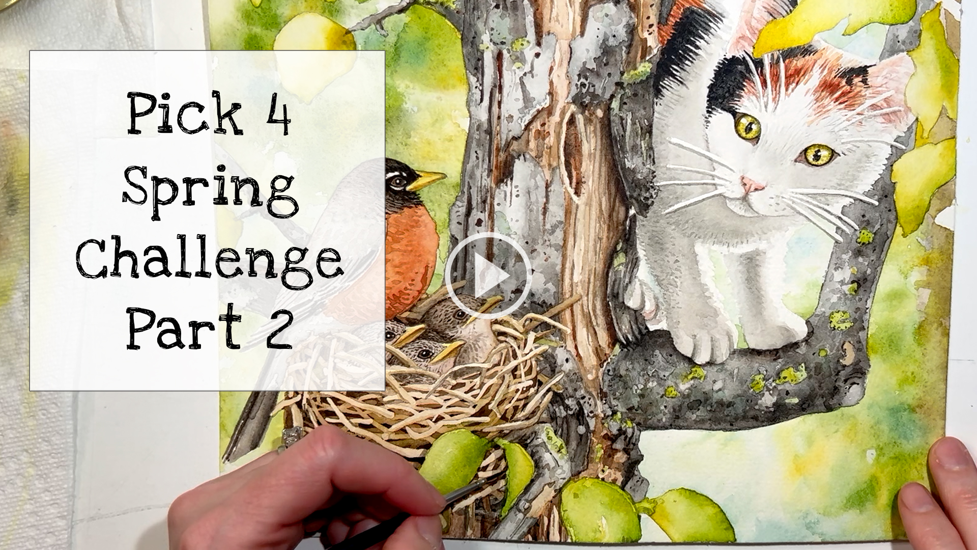 Monthly Design Challenge