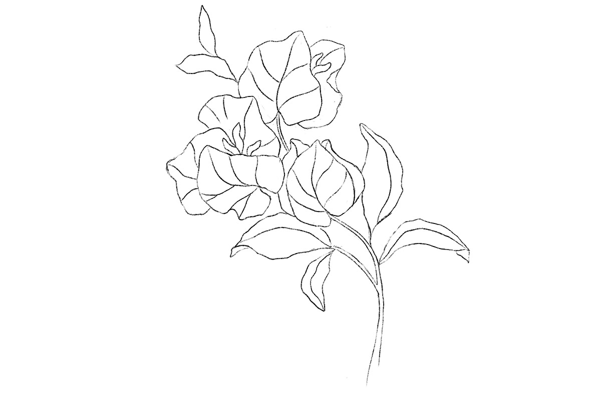 Drawing course florals art classes for beginners