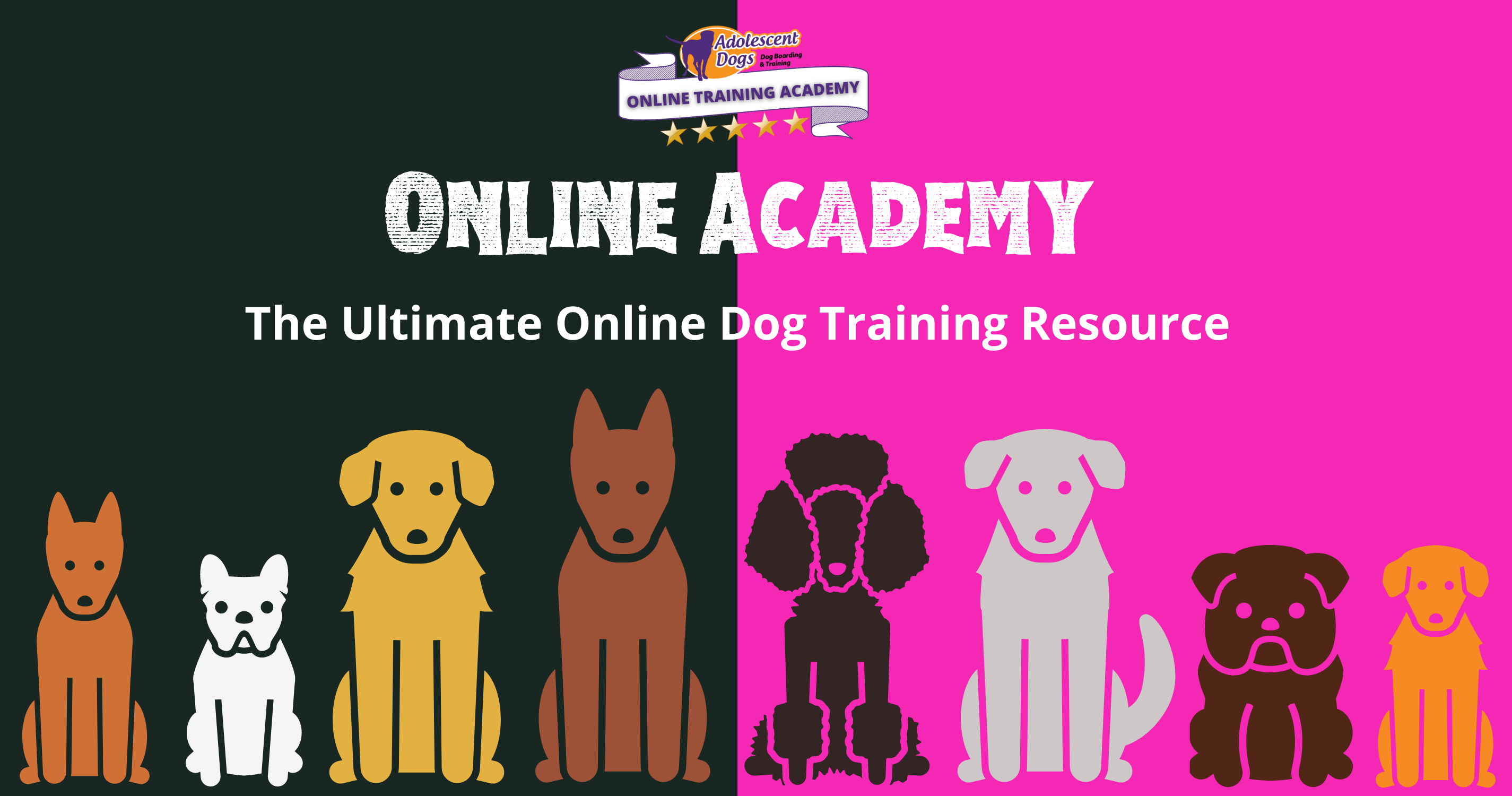 Dogs online best sale