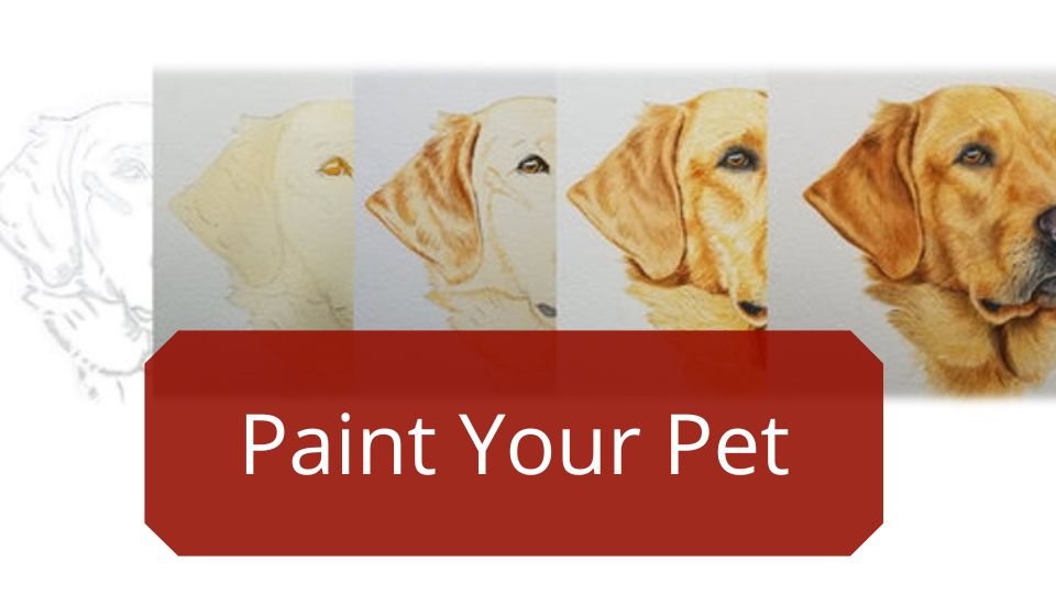 paint your pet in watercolor rebecca rhodes