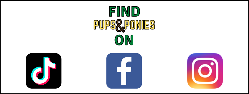 Find Pups &amp;amp; Ponies on TikTok, Facebook, and Instagram