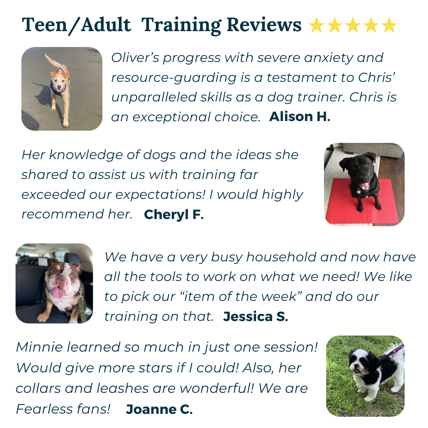 a set of four customer reviews for fearless pet dog training for teen adult dogs