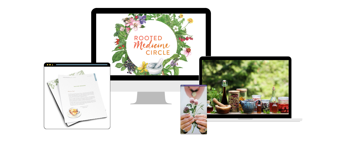 Rooted Medicine Circle online access