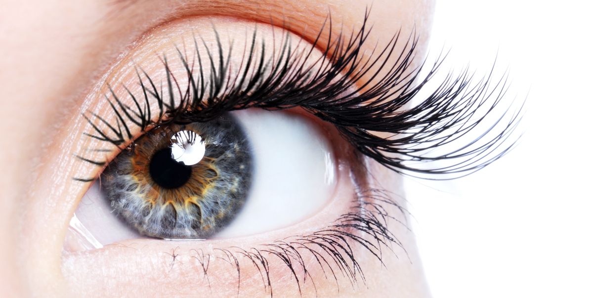 Eyelash Serum Course