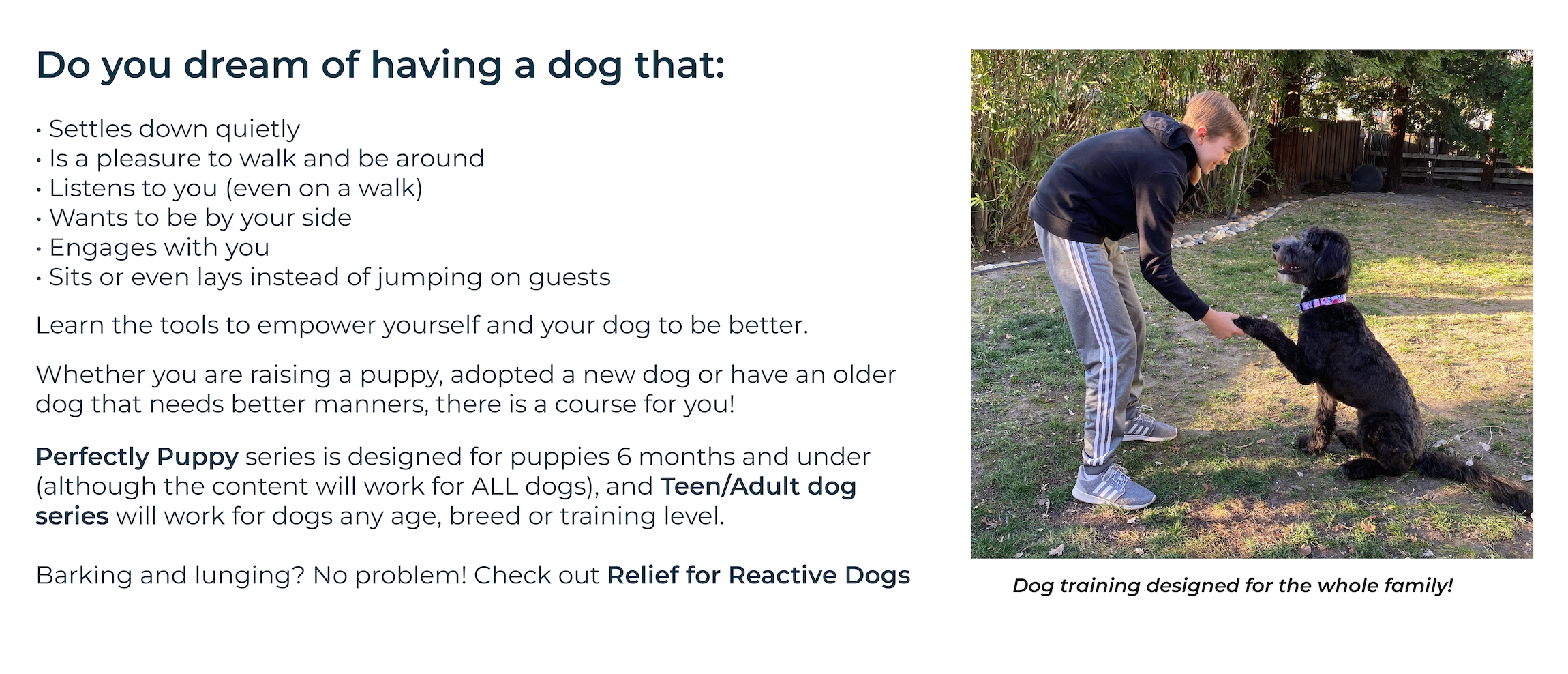 an image of a teen boy training a dog representing a dog training for kids program from fearless pet dog training 